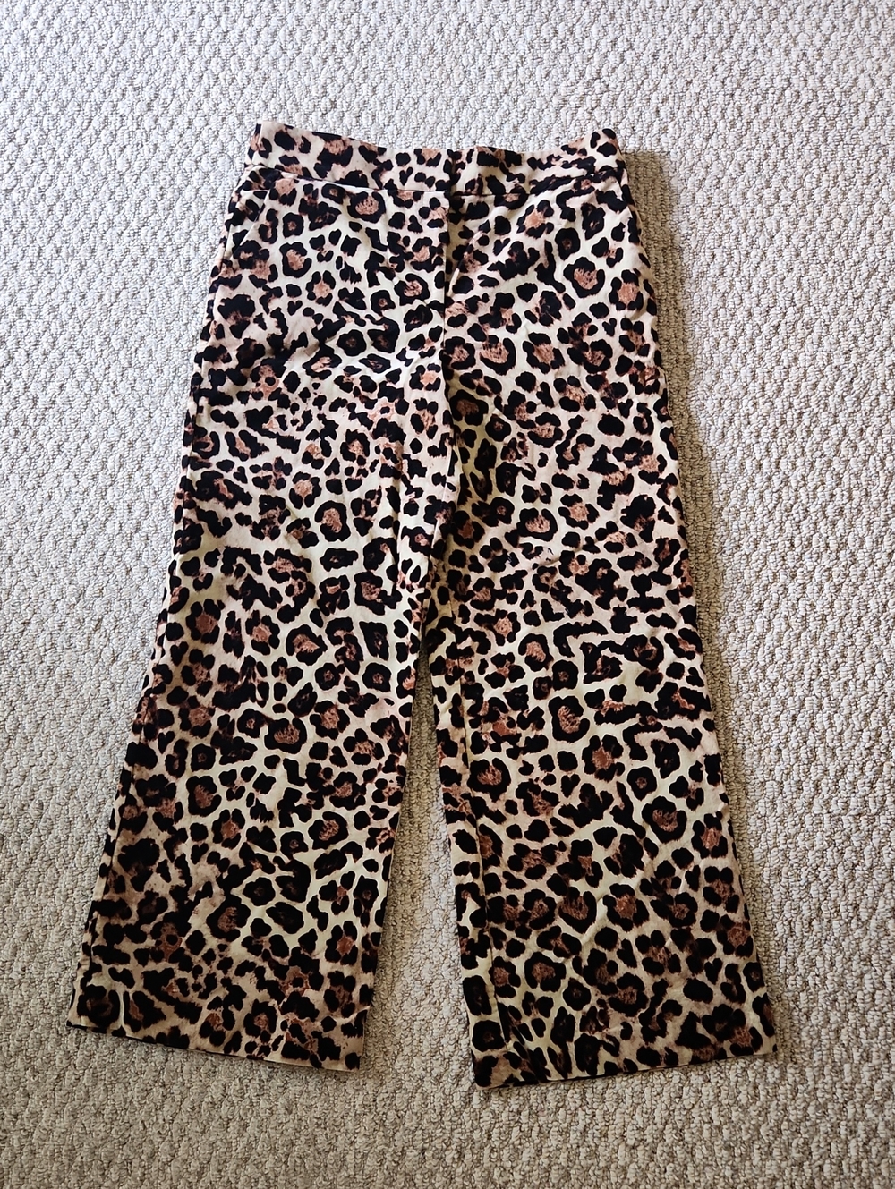Leopard Print Wide-Leg Pants - Black & Tan LOFT